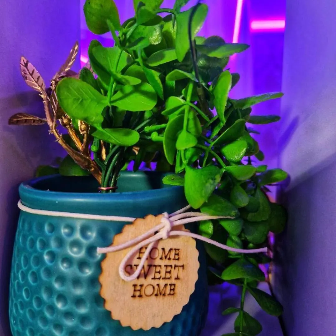 Afi Discret Jacuzzi Apartment Bucureşti
